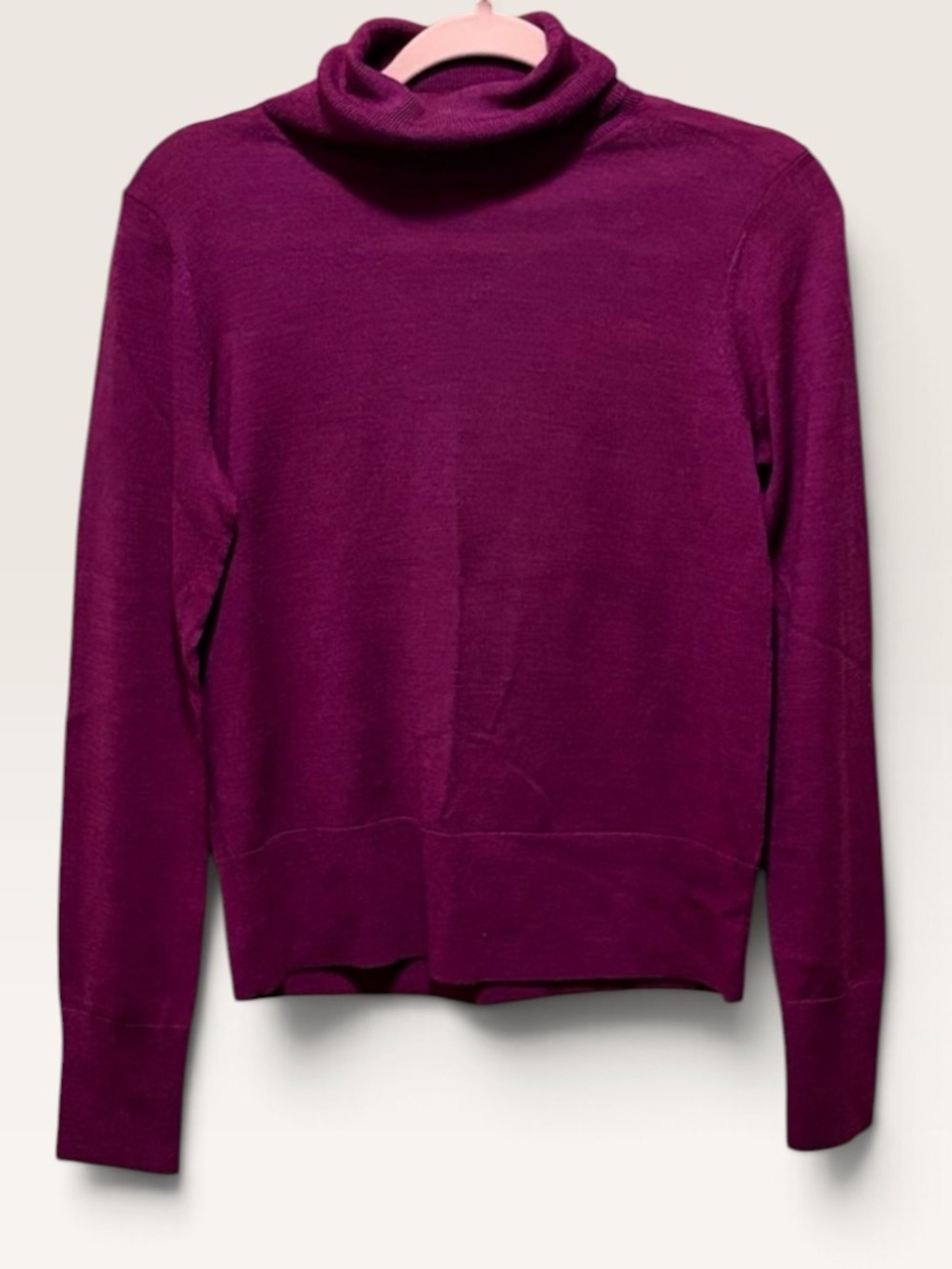 GAP 100% Merino Wool Turtleneck Sweater Women’s S Berry Burgundy Minimalist